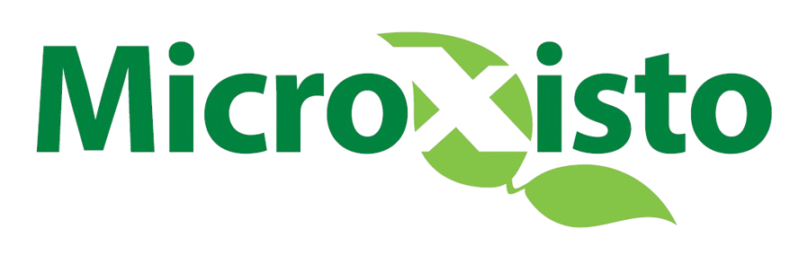 Microxisto